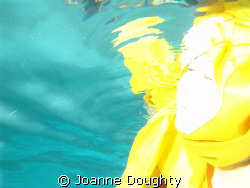 Sea Angel 
 by Joanne Doughty 